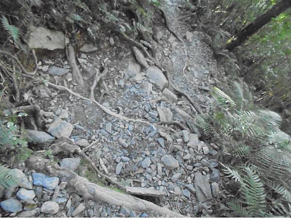 20191109北大武山單攻 (98).jpg 20191109北大武山單攻 (98).jpg