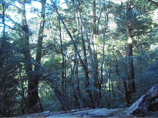 20191109北大武山單攻 (97).jpg 20191109北大武山單攻 (97).jpg