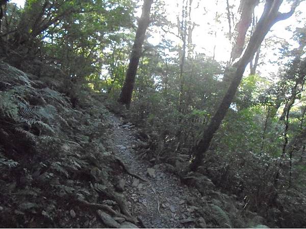 20191109北大武山單攻 (99).jpg 20191109北大武山單攻 (99).jpg