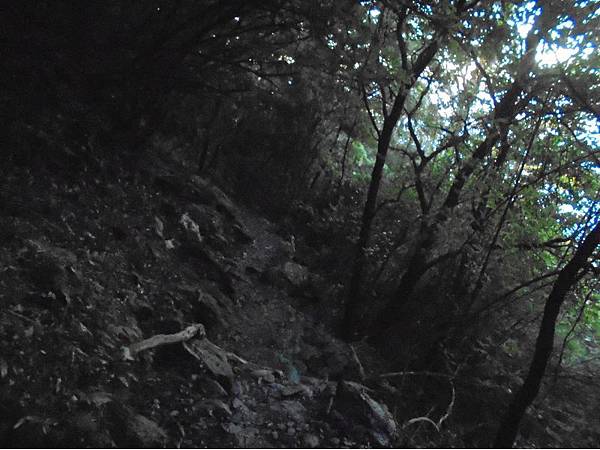 20191109北大武山單攻 (101).jpg 20191109北大武山單攻 (101).jpg