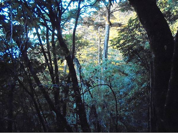 20191109北大武山單攻 (102).jpg 20191109北大武山單攻 (102).jpg