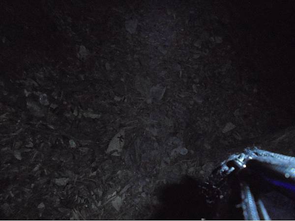 20191109北大武山單攻 (103).jpg 20191109北大武山單攻 (103).jpg