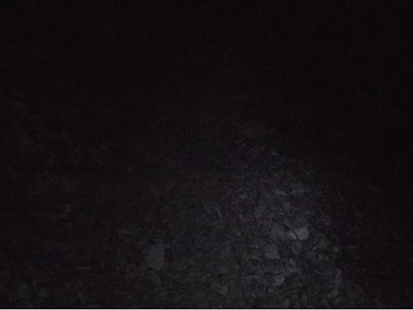 20191109北大武山單攻 (104).jpg 20191109北大武山單攻 (104).jpg