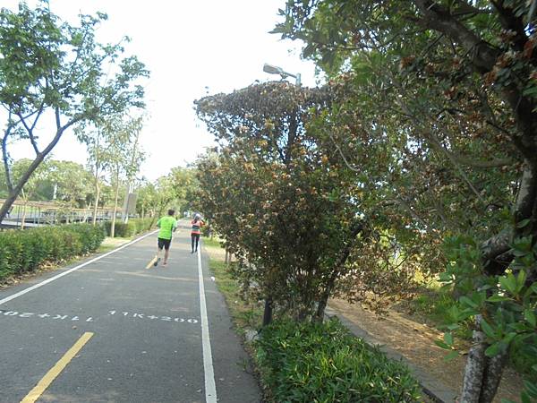 DSC07970(001).jpg DSC07970(001).jpg