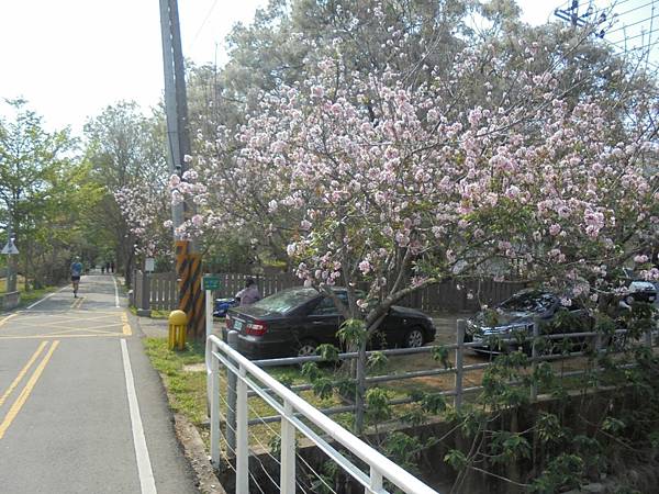 DSC07977(001).jpg DSC07977(001).jpg