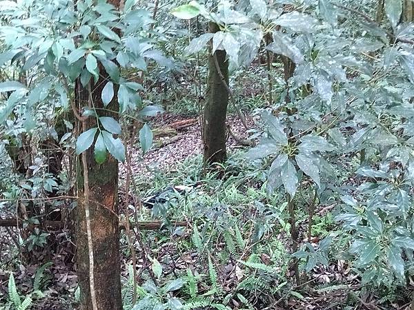 IMG_20210905_110556.jpg IMG_20210905_110556.jpg