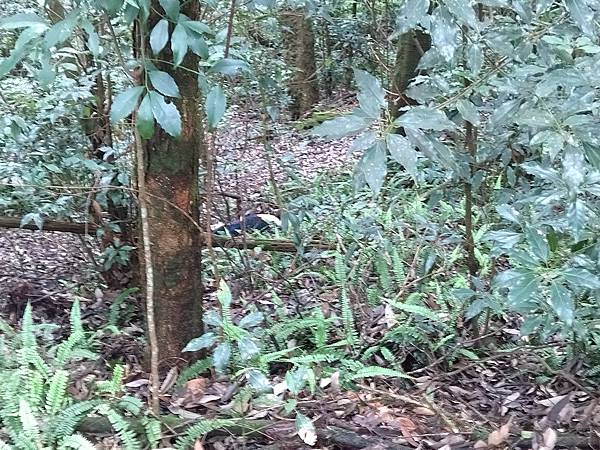 IMG_20210905_110552.jpg IMG_20210905_110552.jpg