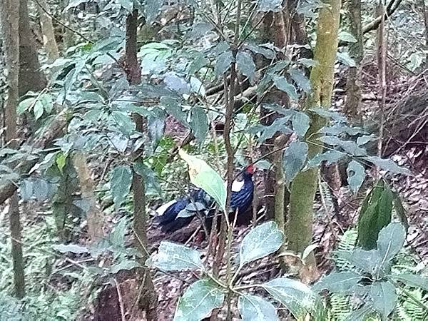 IMG_20210905_110620.jpg IMG_20210905_110620.jpg