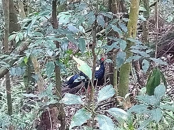 IMG_20210905_110621.jpg IMG_20210905_110621.jpg