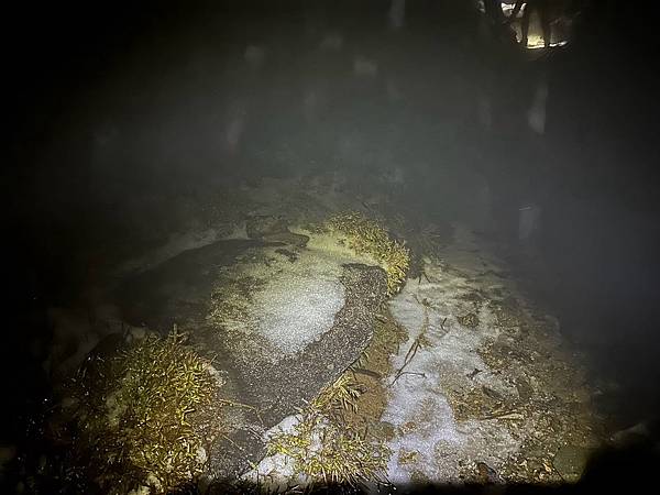 20250319困守嘉明山屋 20250319困守嘉明山屋