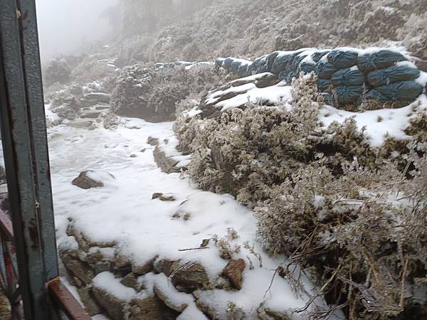 20250319困守嘉明山屋 20250319困守嘉明山屋