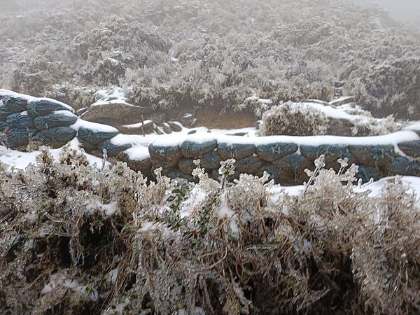 20250319困守嘉明山屋 20250319困守嘉明山屋