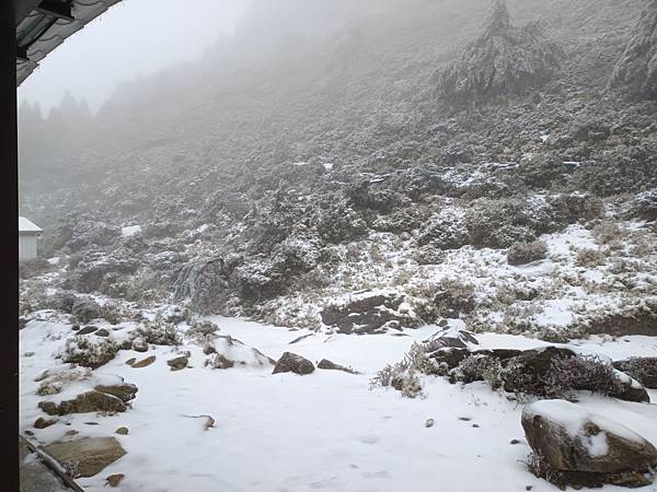 20250319困守嘉明山屋 20250319困守嘉明山屋