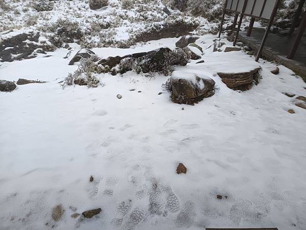 20250319困守嘉明山屋