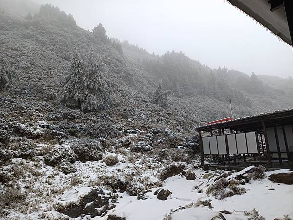 20250319困守嘉明山屋 20250319困守嘉明山屋