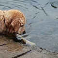 nEO_IMG_IMG_9964.jpg