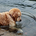 nEO_IMG_IMG_9960.jpg