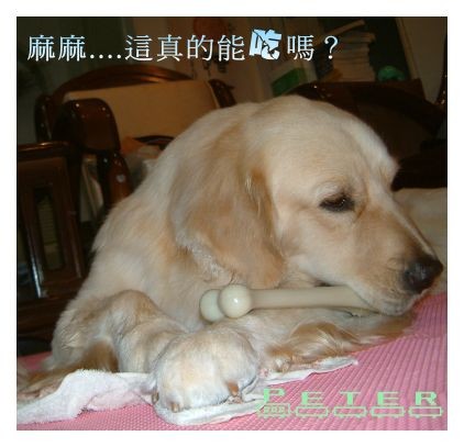 DSCF0039