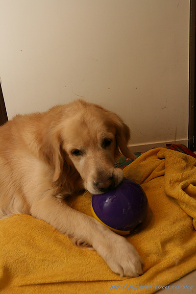 nEO_IMG_IMG_7923.jpg