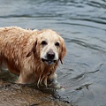 nEO_IMG_IMG_9962.jpg
