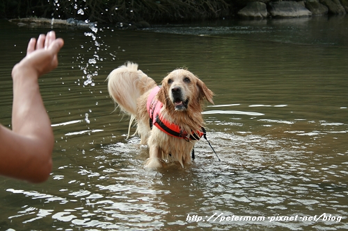 nEO_IMG_IMG_7220.jpg