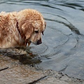 nEO_IMG_IMG_9961.jpg