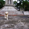 DSCN7420_nEO_IMG.jpg