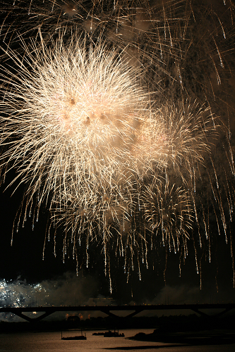 IMG_4296.jpg