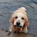 nEO_IMG_IMG_9969.jpg
