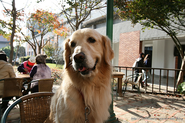 nEO_IMG_IMG_8277.jpg