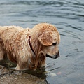 nEO_IMG_IMG_9963.jpg