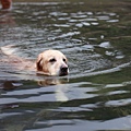 nEO_IMG_IMG_9877.jpg