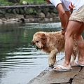nEO_IMG_IMG_9951.jpg
