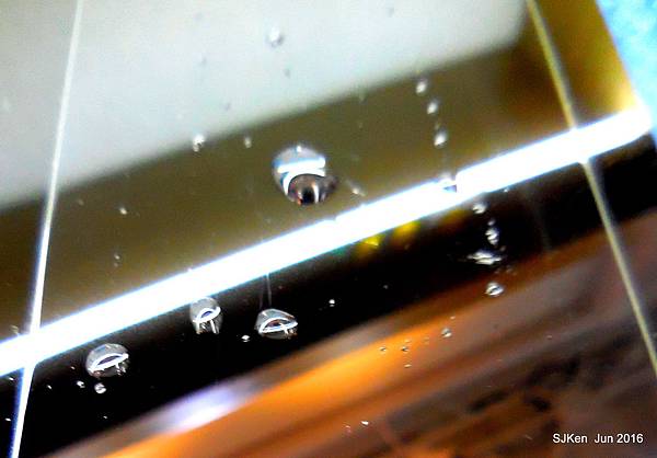 147-DSCN4293.JPG 147-DSCN4293.JPG