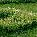 20-DSCN4624.JPG
