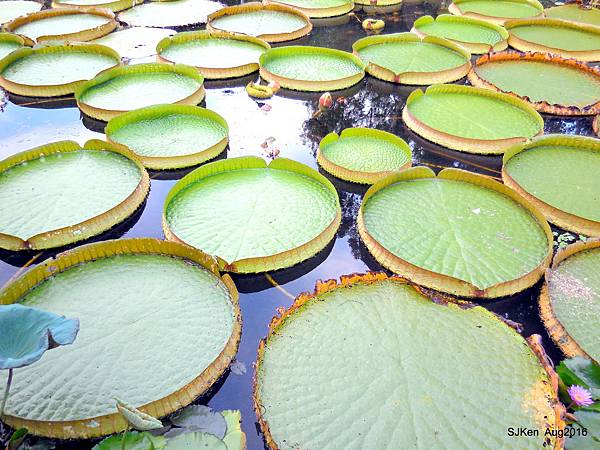 01-DSCN5649.JPG 01-DSCN5649.JPG