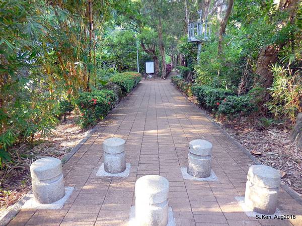 03-DSCN5617.JPG 03-DSCN5617.JPG