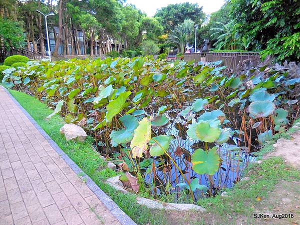 13-DSCN5671.JPG 13-DSCN5671.JPG