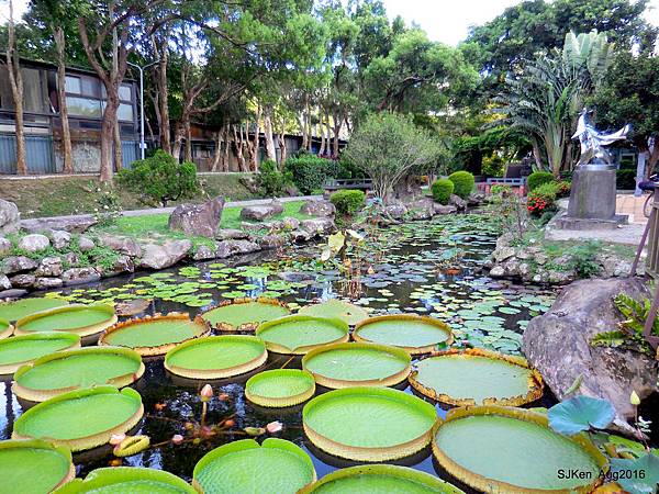 14-DSCN5655.JPG 14-DSCN5655.JPG