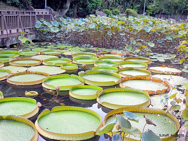 15-DSCN5712.JPG 15-DSCN5712.JPG