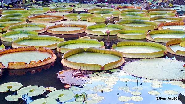 17-P_20160814_172124.JPG 17-P_20160814_172124.JPG