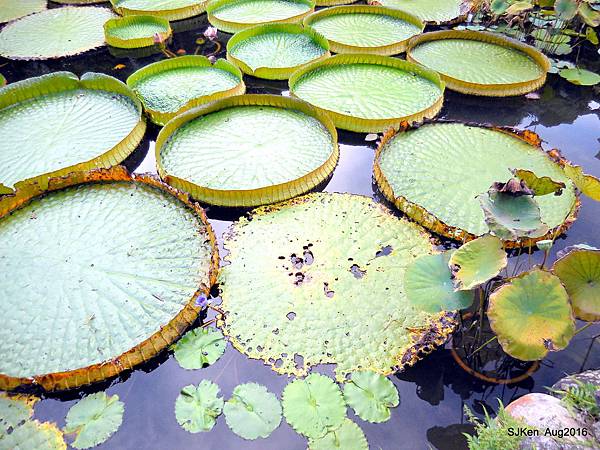 19-DSCN5706.JPG 19-DSCN5706.JPG