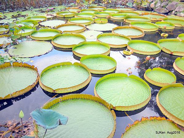 20-DSCN5650.JPG 20-DSCN5650.JPG