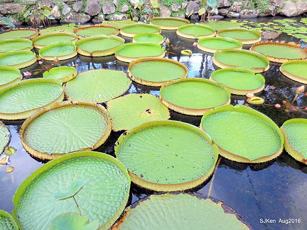 21-DSCN5656.JPG 21-DSCN5656.JPG