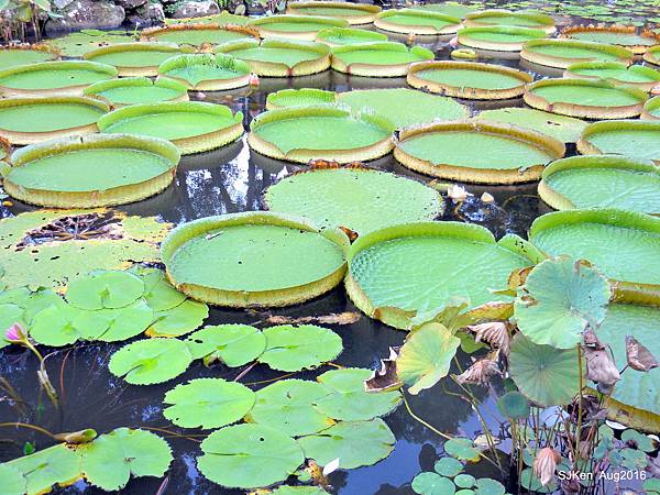 22-DSCN5664.JPG 22-DSCN5664.JPG