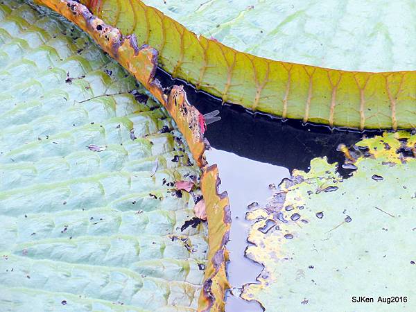 26-DSCN5700.JPG 26-DSCN5700.JPG