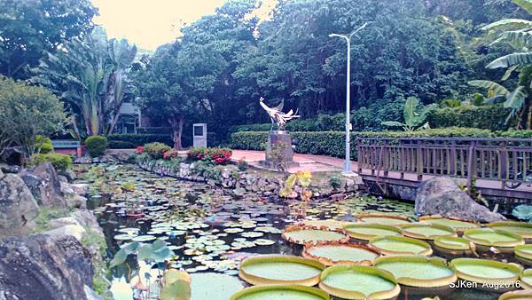 29-P_20160814_172205.JPG 29-P_20160814_172205.JPG