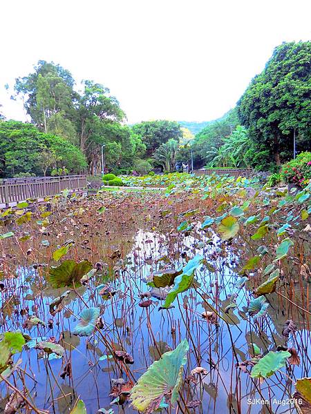 31-DSCN5741.JPG 31-DSCN5741.JPG