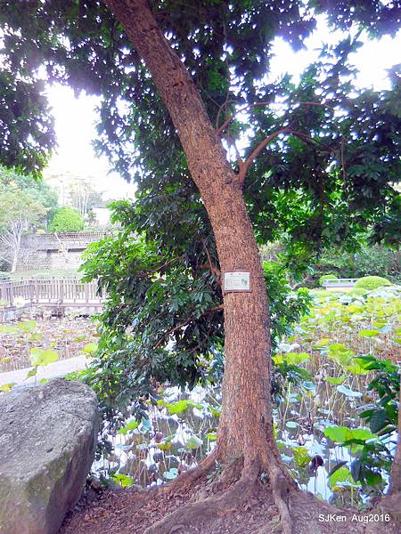 32-DSCN5668.JPG 32-DSCN5668.JPG