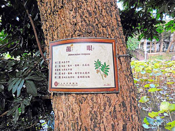 33-DSCN5669.JPG 33-DSCN5669.JPG